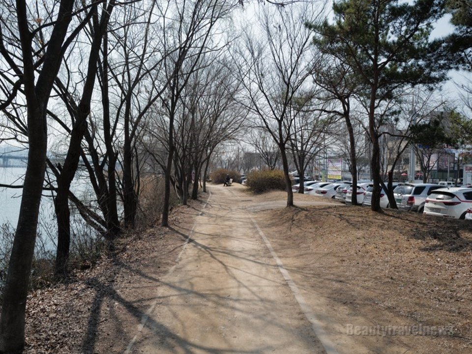 [봄 야외 나들이] 자연경관이 아름다운 경기도 양평 두물머리
