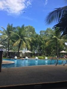 [현장 포토] 푸른 빛깔이 잘 어우러진 필리핀 세부 래디슨블루 호텔 수영장